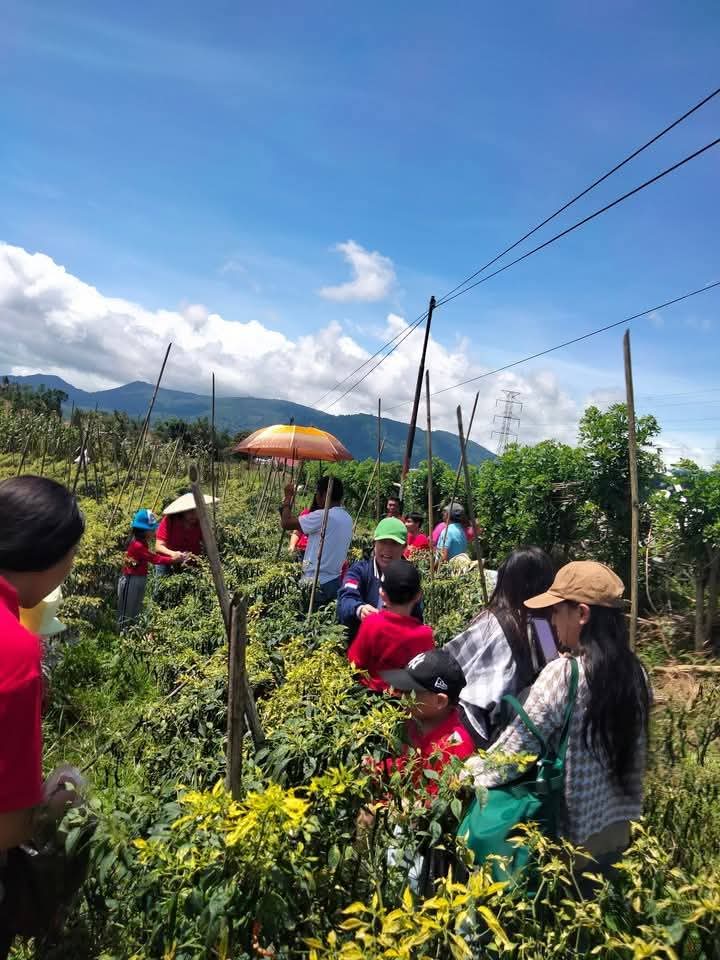 Terapi Integrasi Sensori